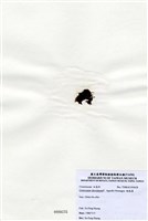 藏品(縱胞藻)的圖片